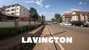 lavi